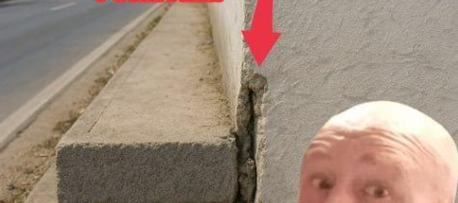 Exposed: The True Cost of Hiring Wizzy the Builder in Chiang Mai